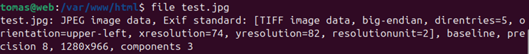 file file